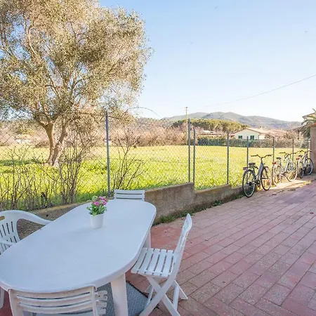 Apartment La Pila